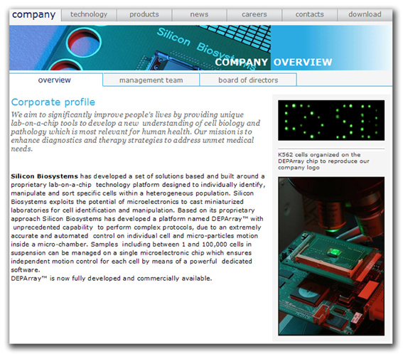 silicon04