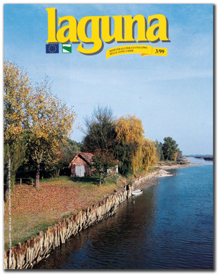 laguna2web
